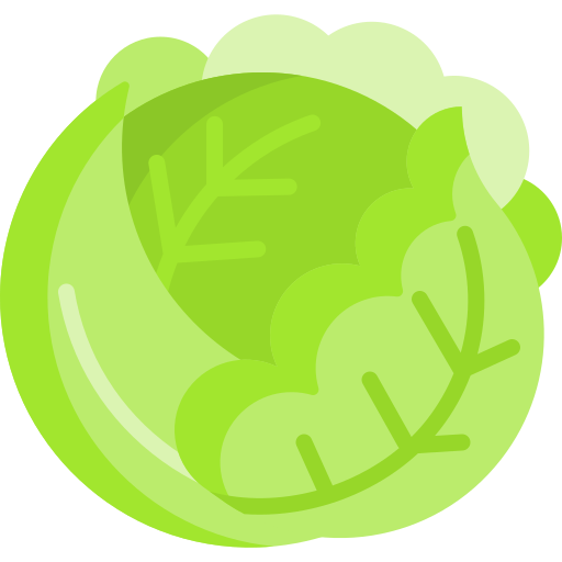 shredded lettuce