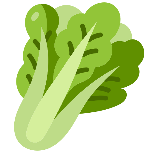 fresh lettuce or spinach